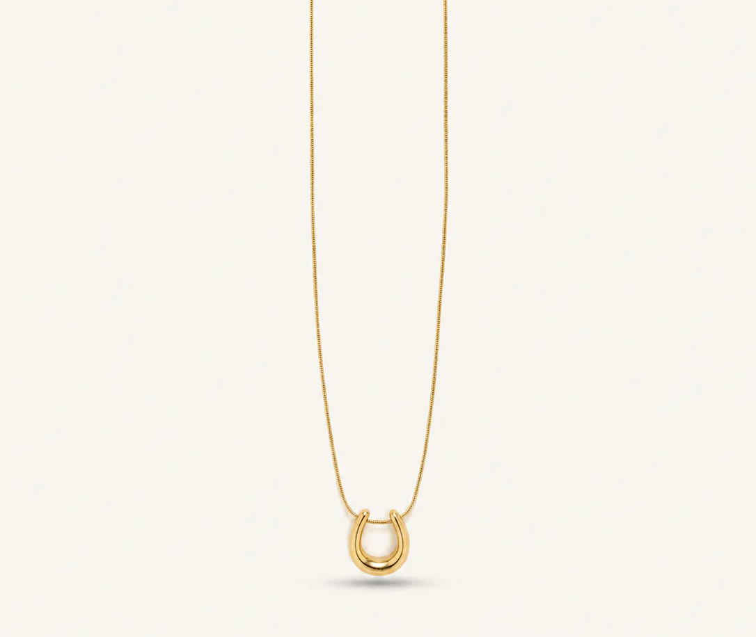 Classic Charm U Necklace✨