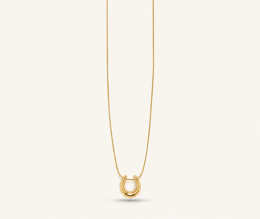 Classic Charm U Necklace✨