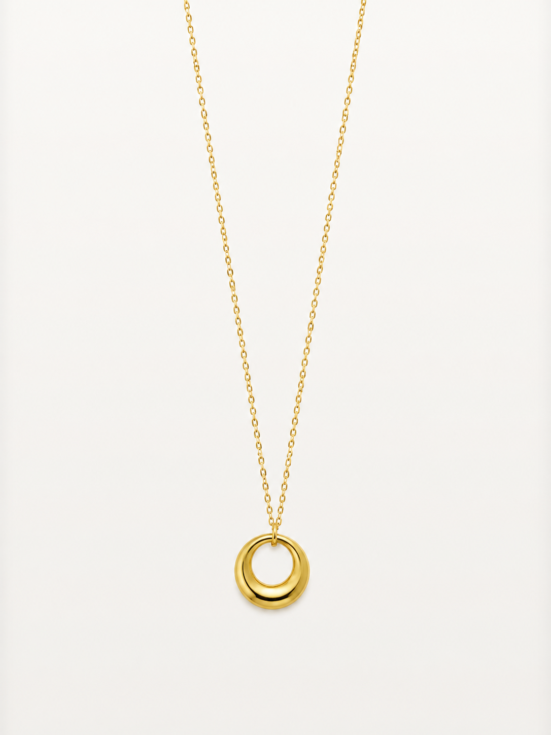 Everlasting Ring Necklace ♾️